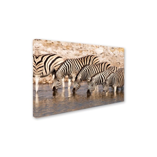 Robert Harding Picture Library 'Zebras 1' Canvas Art,16x24